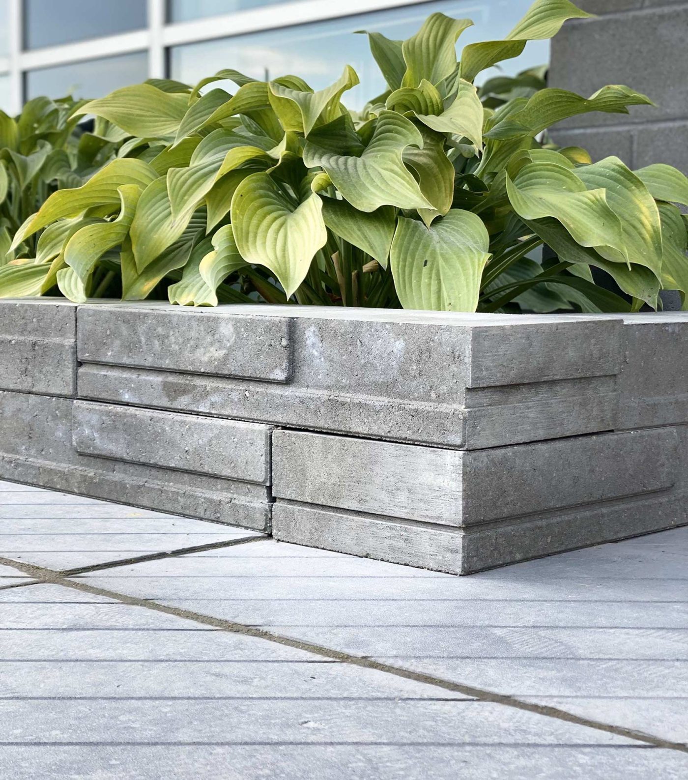 Urbania wall | Patio Drummond